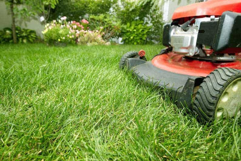 Lawn mowing service Albion Melbourne backyard