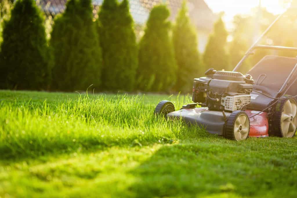 Lawn mowing Meadow Heights Melbourne backyard service