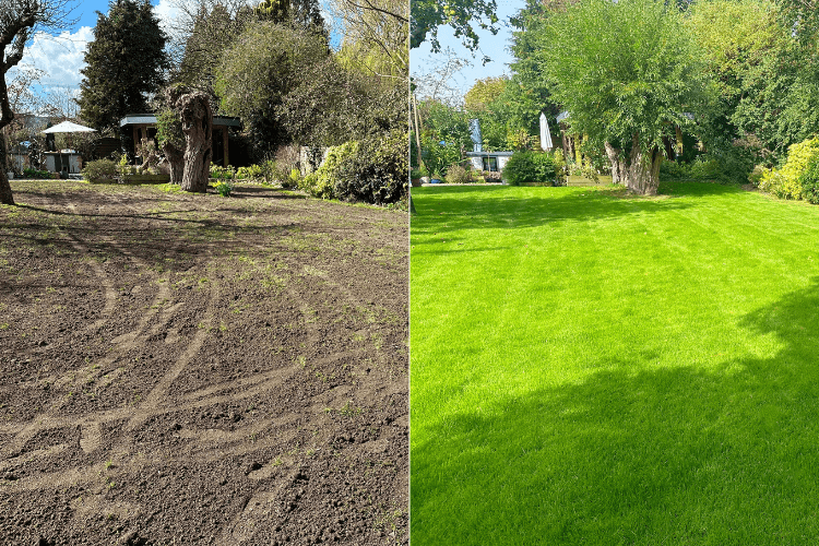 Lawn renovation Melbourne before and after transformation