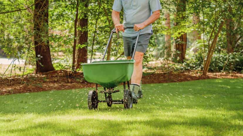 Lawn Renovation Cost Melbourne | 2026 Price Guide