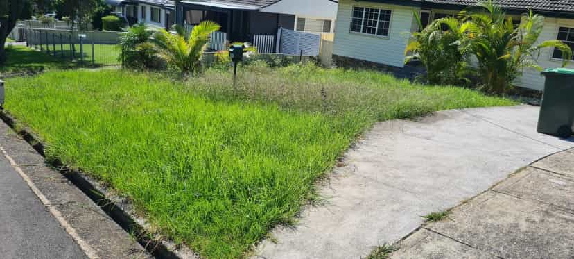 Overgrown Lawn Cleanup Tips (Restore Your Yard Fast)