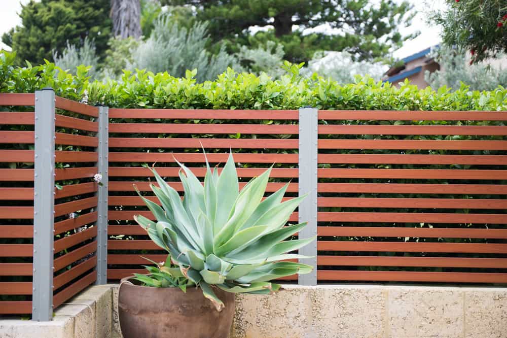 Timber fencing installation Melbourne residential property