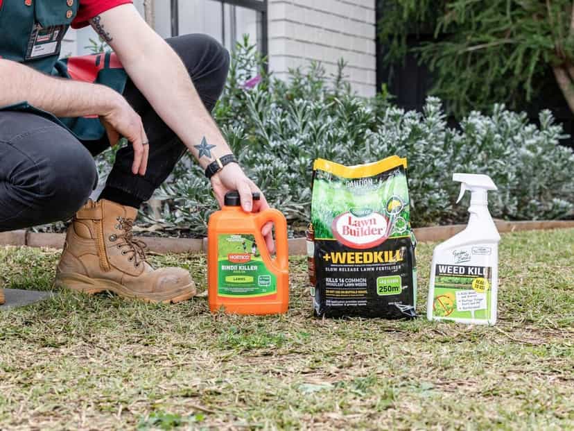 Best Weed Killers for Melbourne Lawns