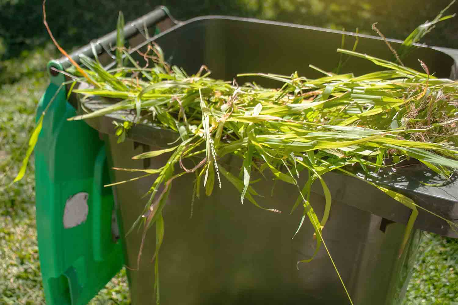 Green waste removal Melbourne backyard garden cleanup