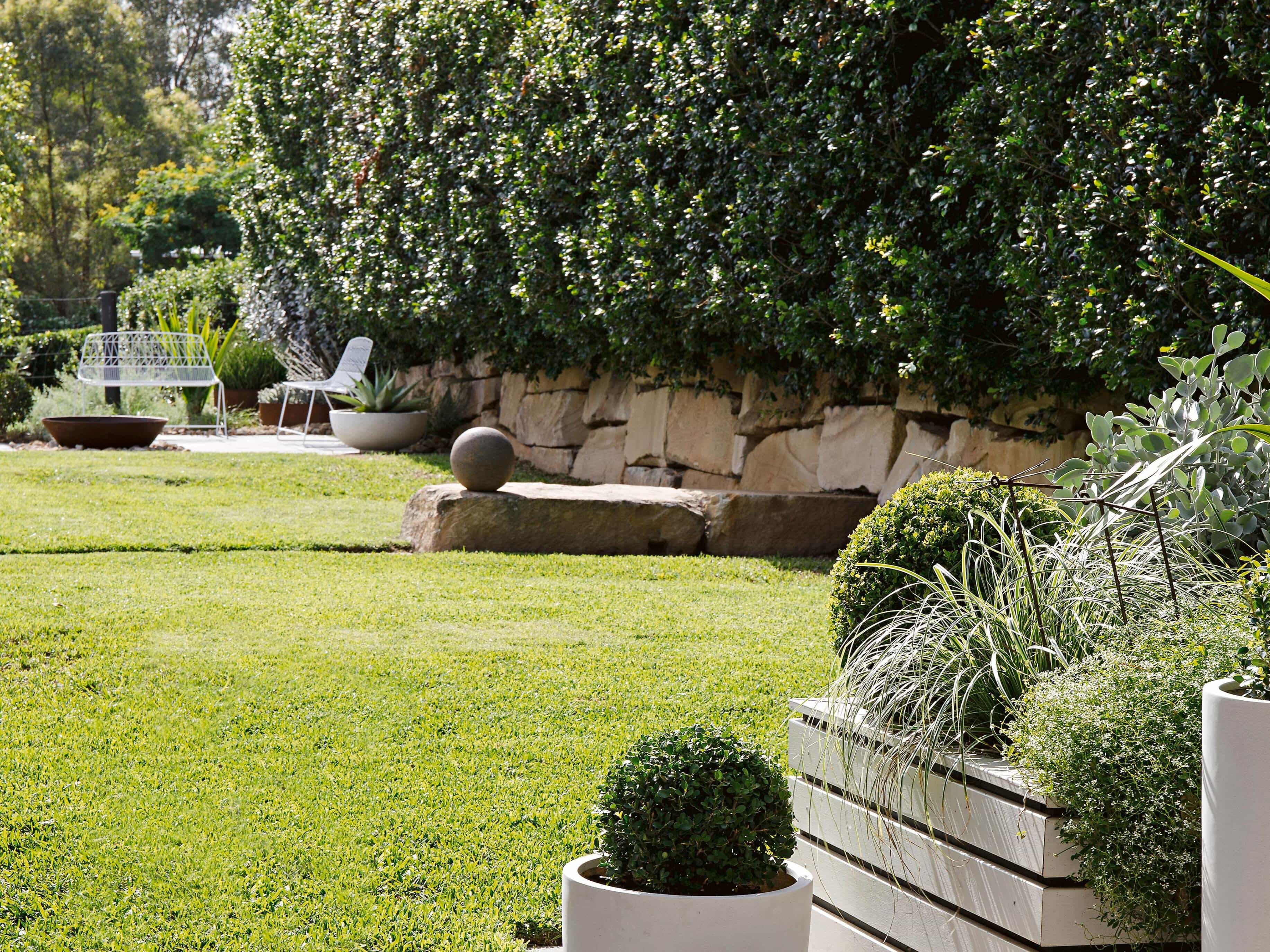 Lawn care before and after Melbourne