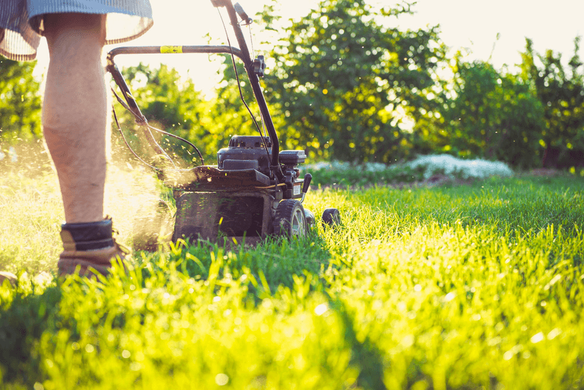 Lawn Mowing Costs in Melbourne: A Comprehensive Guide