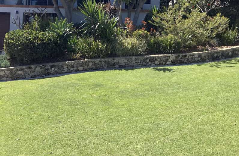 Lawn mowing service Sunshine Melbourne backyard