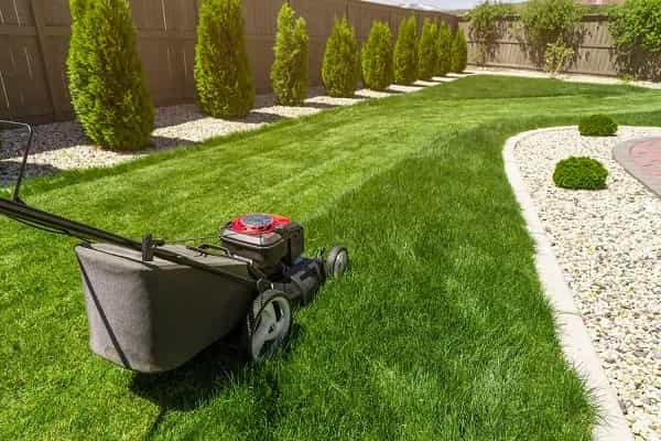 Professional lawn mowing Melbourne residential property