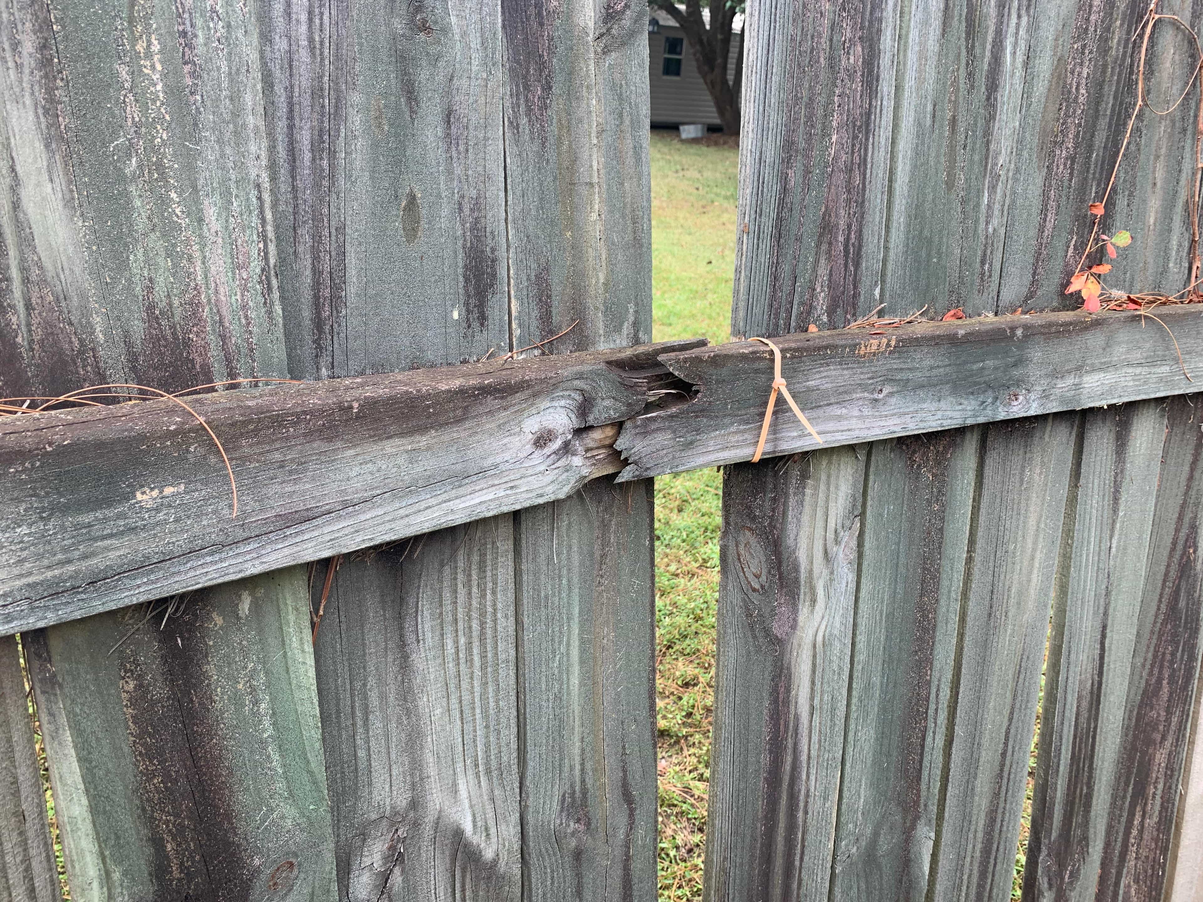 Boundary timber fence repair Melbourne