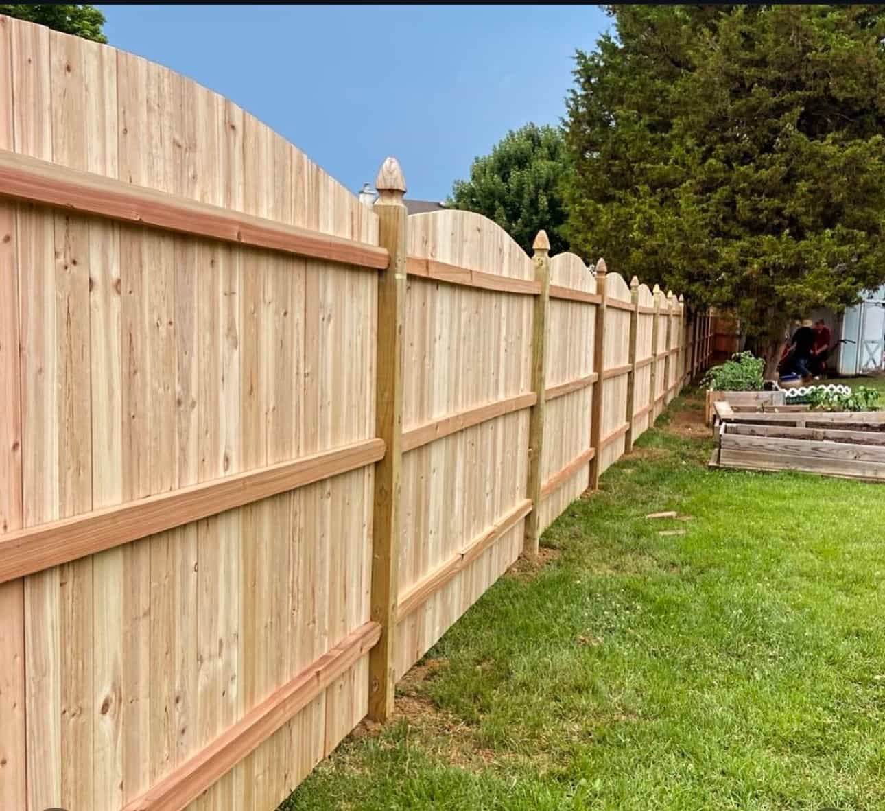 Timber fence repair service Melbourne residential property